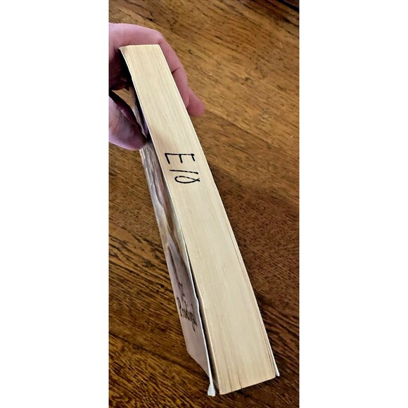 Beverly Lewis books Abram's Daughters 3 + 4 Paperbacks - Picture 9 of 9